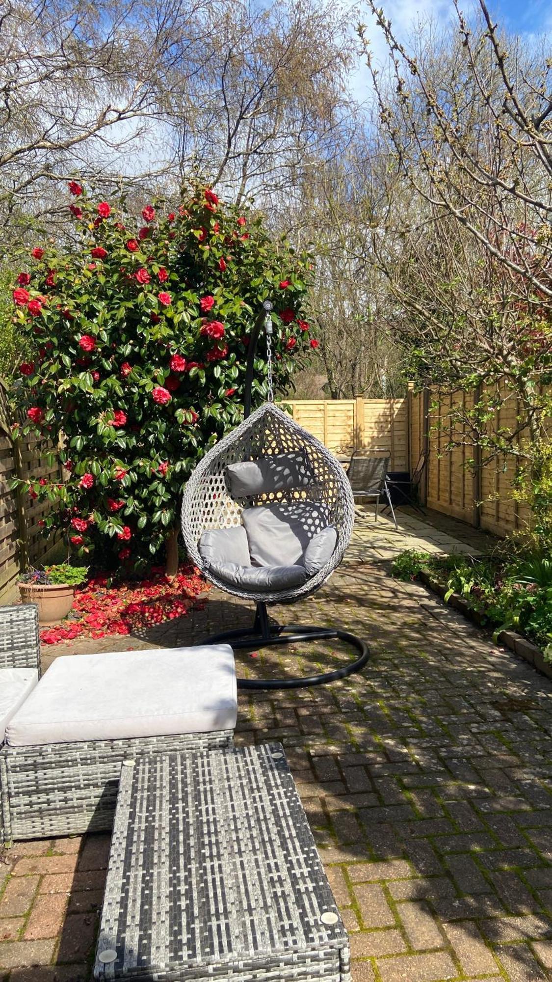 Beautiful Bexhill Cottage With Garden 3 Mins Walk To Beach Exteriör bild